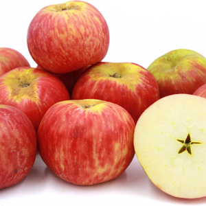 red gravenstein apple carolus